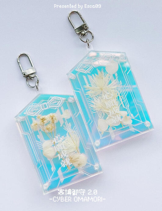 Cyber Omamori-Wish Fulfilled